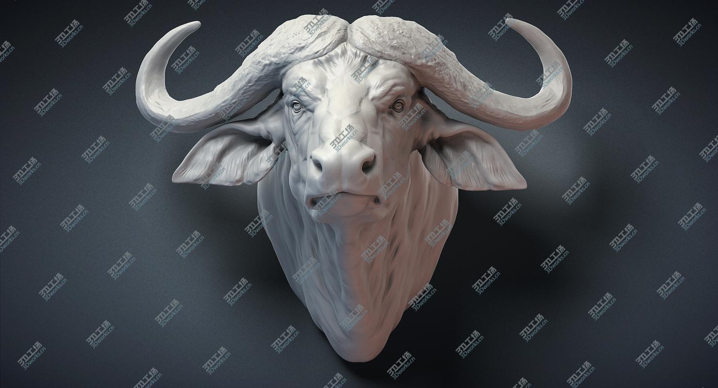 images/goods_img/202104094/Cape Buffalo Head Sculpture 3D model/2.jpg